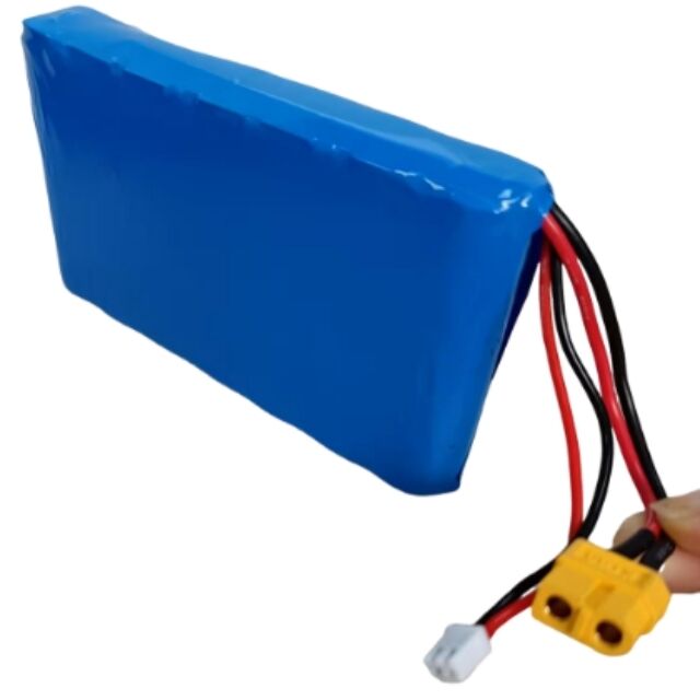 कस्टम बैटरी पैक 7s1p 18650 24V 3500mAh 350W के लिए Xt60 प्लग के साथ मोटर